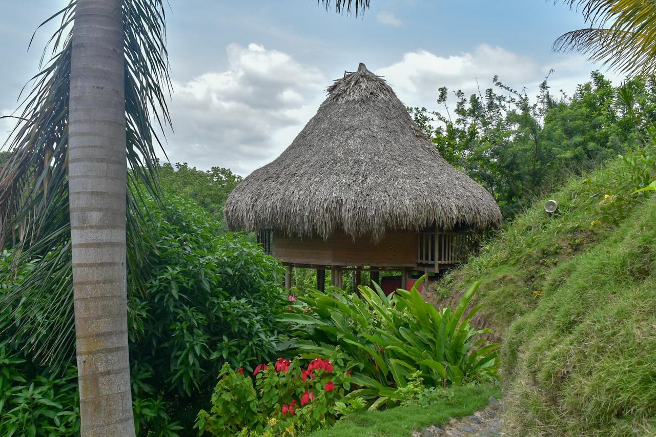 Ecohabs Bosques Del Tayrona Hotel Calabazo  Luaran gambar
