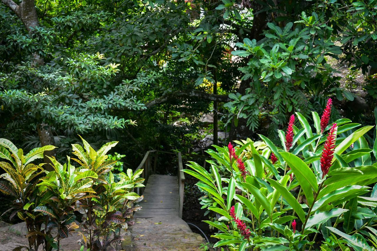 Ecohabs Bosques Del Tayrona Hotel Calabazo  Luaran gambar