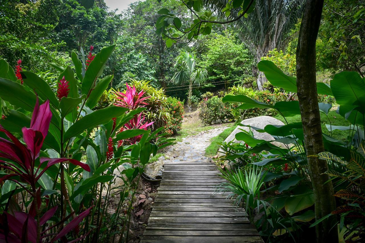 Ecohabs Bosques Del Tayrona Hotel Calabazo  Luaran gambar