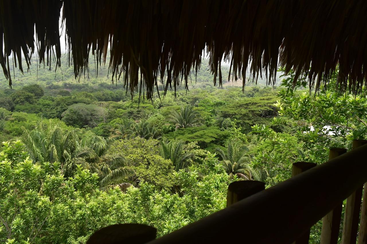 Ecohabs Bosques Del Tayrona Hotel Calabazo  Luaran gambar