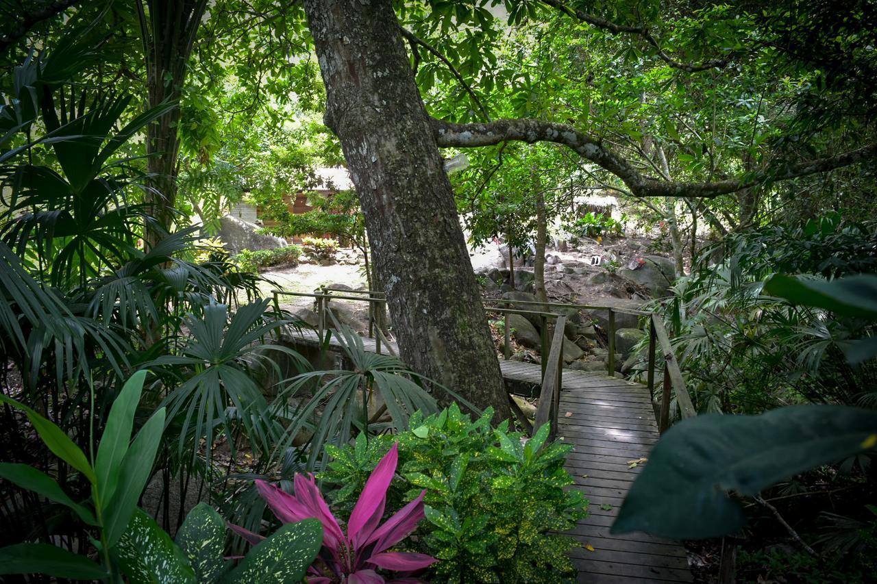 Ecohabs Bosques Del Tayrona Hotel Calabazo  Luaran gambar