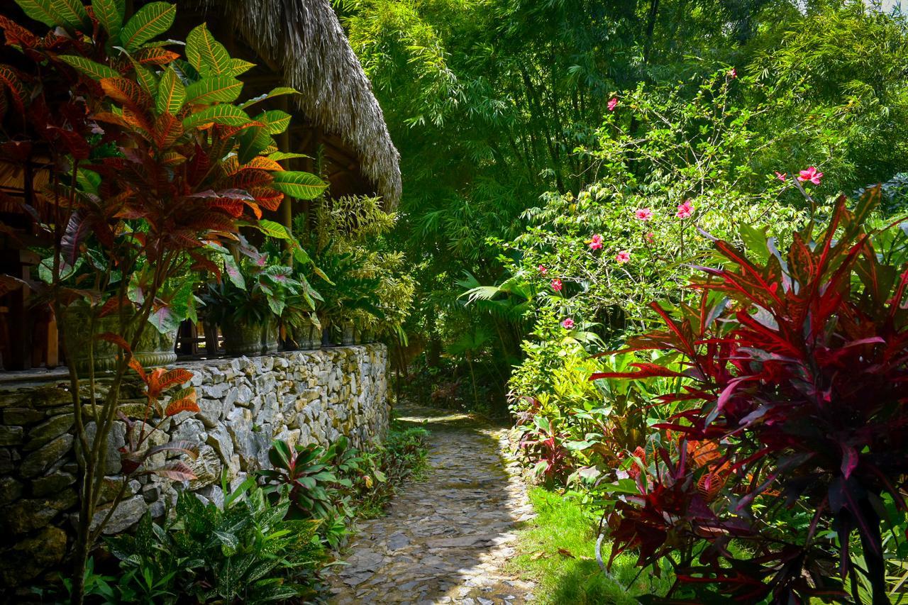 Ecohabs Bosques Del Tayrona Hotel Calabazo  Luaran gambar