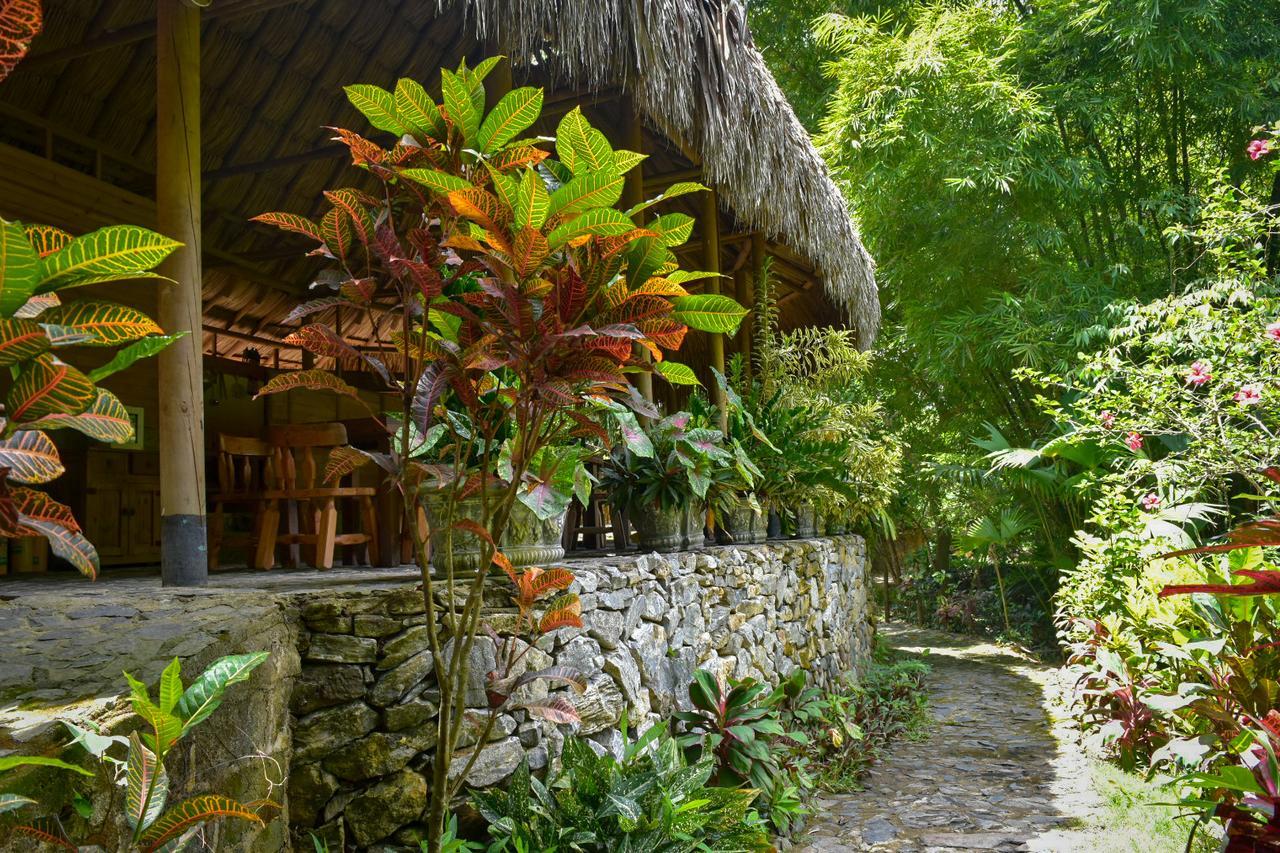 Ecohabs Bosques Del Tayrona Hotel Calabazo  Luaran gambar