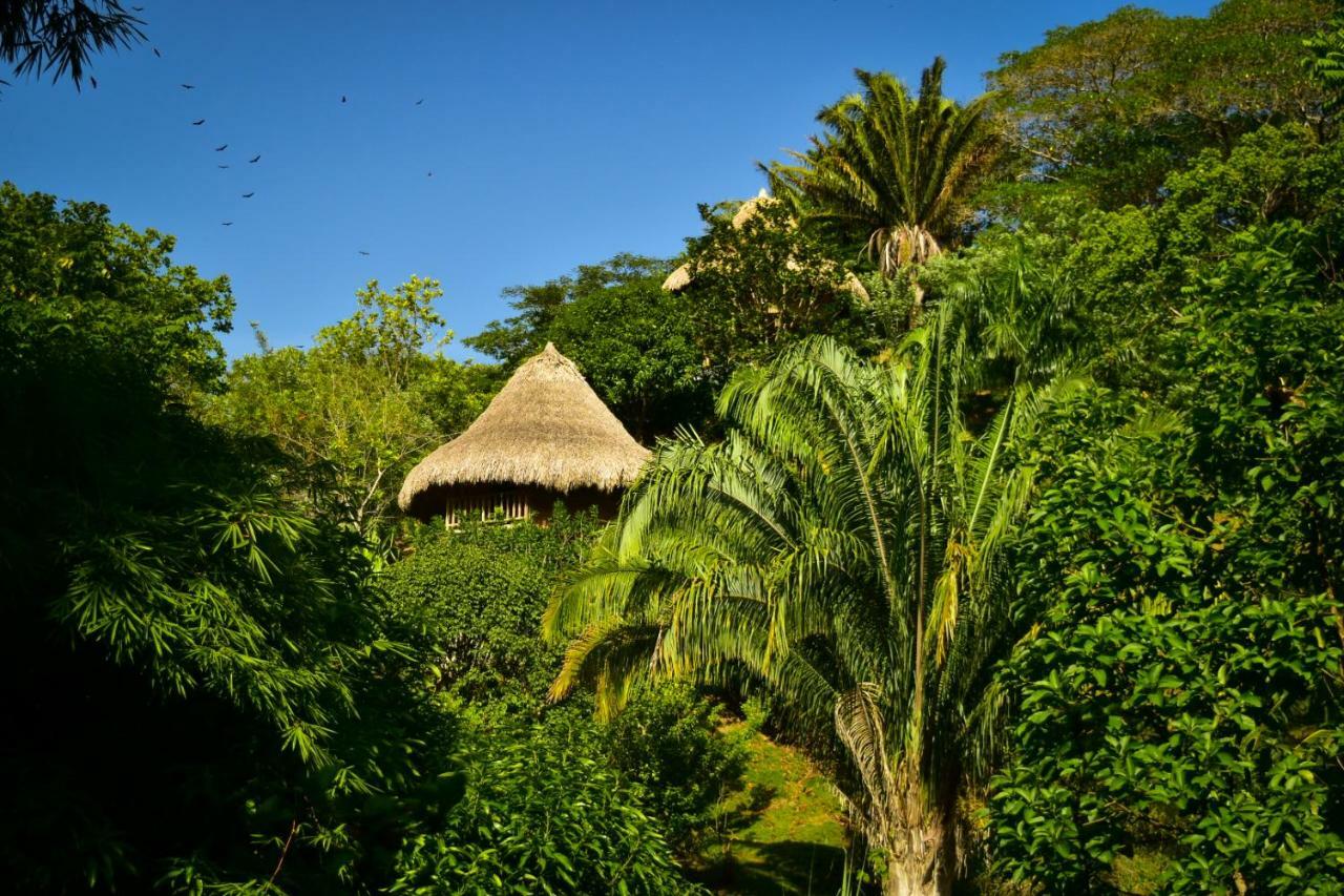 Ecohabs Bosques Del Tayrona Hotel Calabazo  Luaran gambar